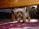 DSC04628.JPG