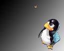 wallpaper-penguin_msn-1280x1024.jpg