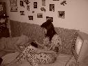 DSC04234.JPG