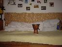 DSC04341.JPG