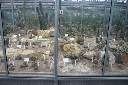 IMG_0538.JPG