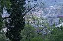 IMG_4473.JPG