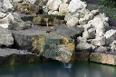 CRW_5218.jpg