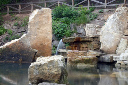 CRW_5219.jpg