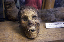CRW_5317.jpg