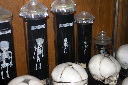 CRW_5325.jpg