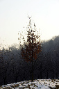 CRW_6535.jpg