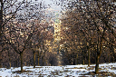 CRW_6536.jpg