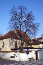 CRW_6539x.jpg