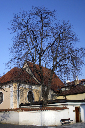 CRW_6540.jpg
