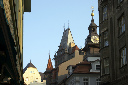 CRW_6565.jpg
