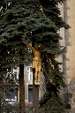 CRW_6566.jpg