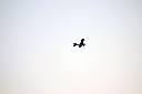 IMG_6847.JPG