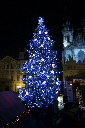 CRW_8253.jpg