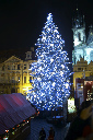 CRW_8262.jpg