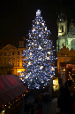 CRW_8265.jpg