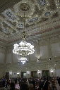 CRW_8516.jpg