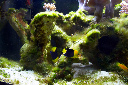 CRW_8596.jpg