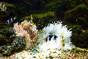 CRW_8602.jpg