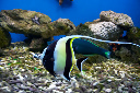 CRW_8612.jpg