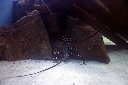 CRW_8617.jpg