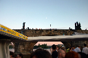 CRW_8769.jpg