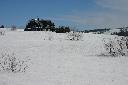 IMG_0811.JPG