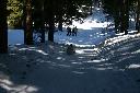 IMG_0929.JPG
