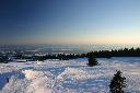 IMG_0963.JPG
