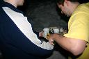 IMG_1116.JPG