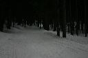 IMG_1484.JPG