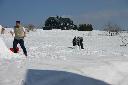 IMG_1798.JPG