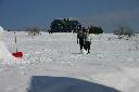 IMG_1804.JPG