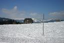IMG_1834.JPG