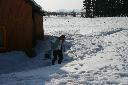 IMG_2082.JPG