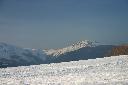 IMG_2184.JPG