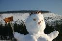 IMG_2185.JPG