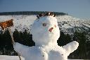 IMG_2187.JPG