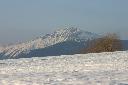 IMG_2198.JPG