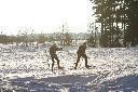 IMG_2202.JPG