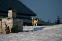 IMG_2214.JPG