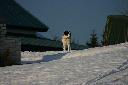 IMG_2216.JPG