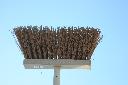 IMG_2220.JPG