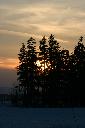 IMG_2232.JPG