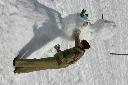 IMG_2322.JPG