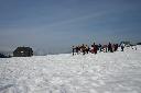 IMG_2344.JPG
