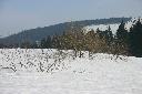 IMG_2396.JPG