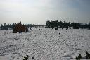 IMG_2409.JPG