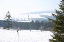 IMG_2411.JPG