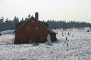 IMG_2412.JPG
